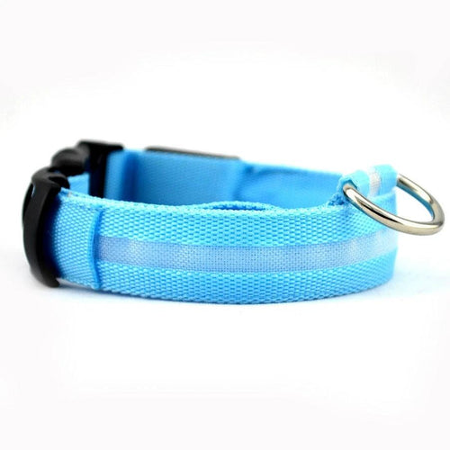 LED Collar for Dogs and Cats – High Visibility at Night