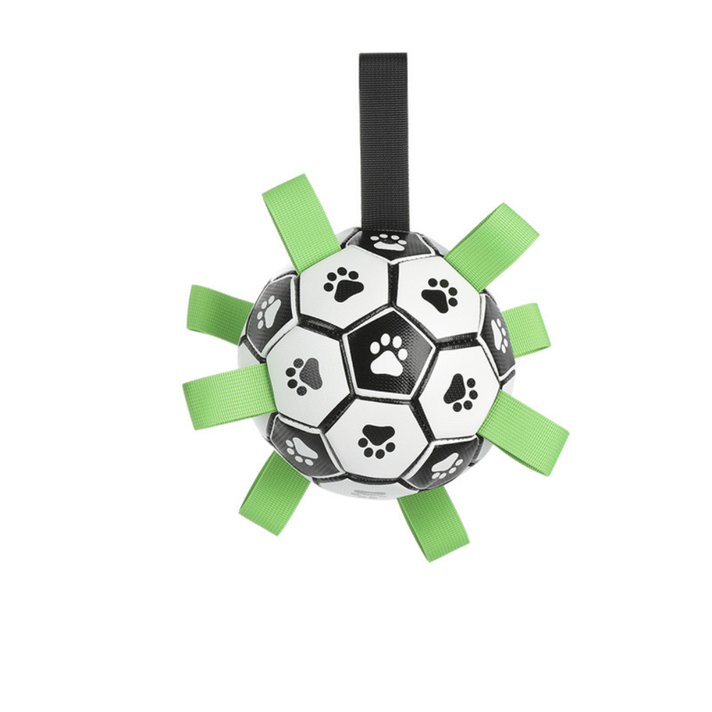 Jouet Interactif Pour Chien Avec Clochette Antidérapant 15 Ou 19 Cm Idéal Pour L Extérieur by 4Millionsdamis