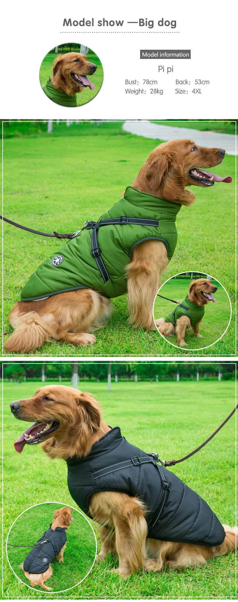 CDDMPET Veste Pour Chien Imperméable Chaude Grande Taille Harnais