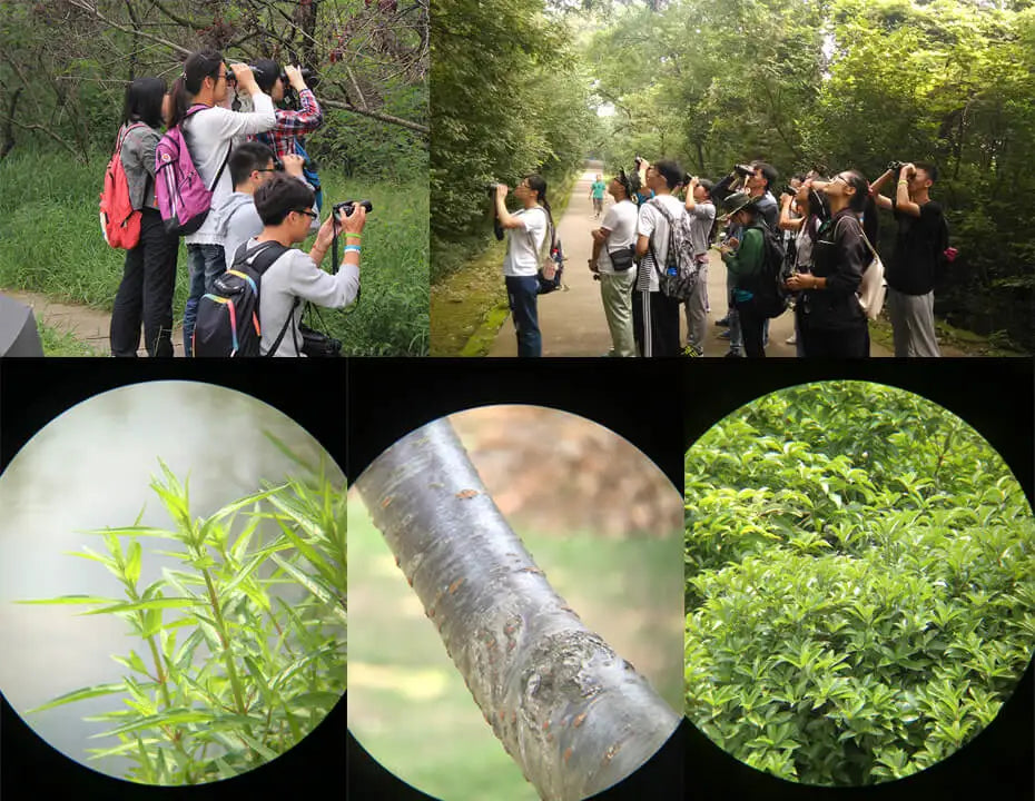 SVBONY Jumelles SV47 8x42 BAK4 FMC HD IPX7 Étanches