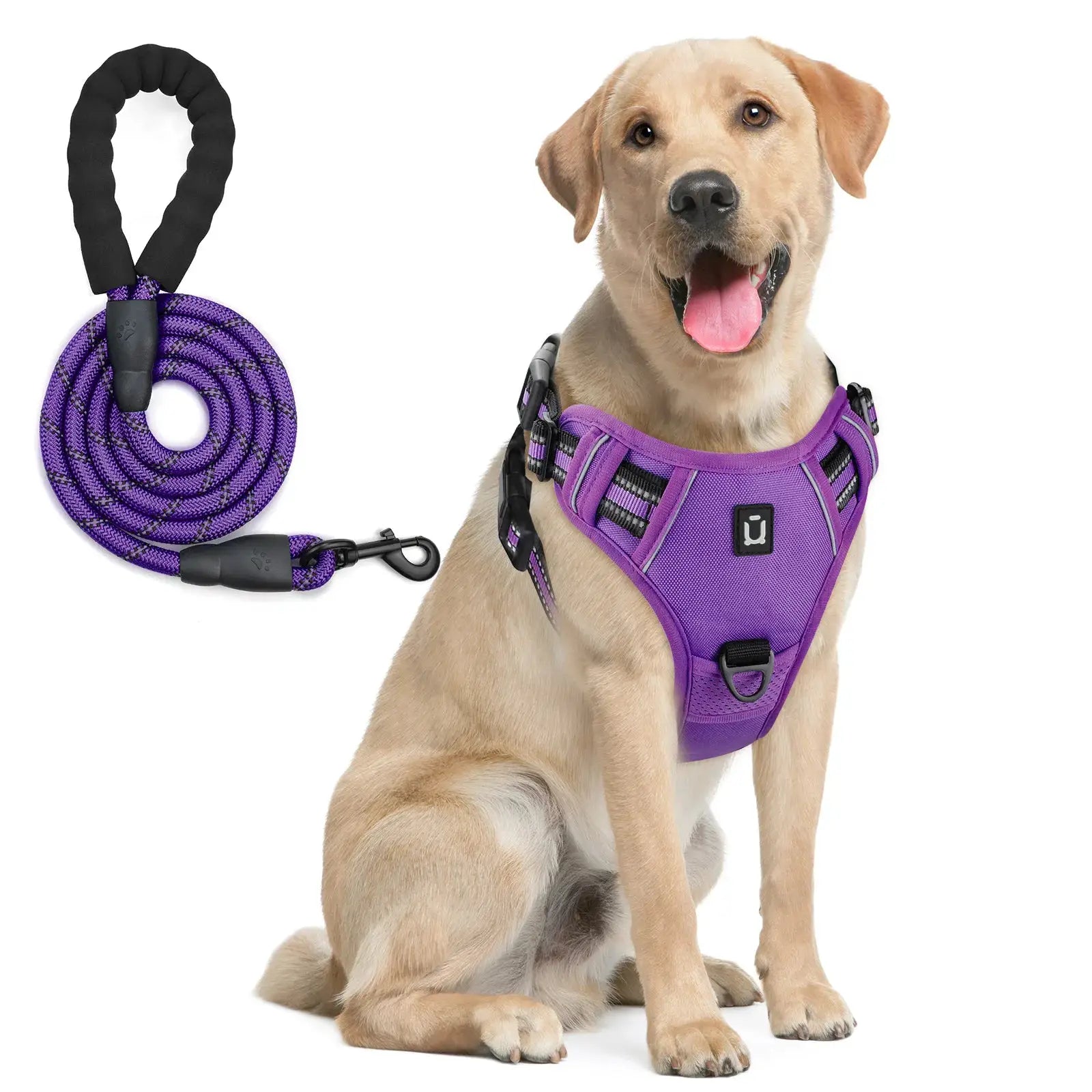 Harnais gilet anti-fuite pour chien et laisse violet, 2 pièces, réglable et réfléchissant (LSDLBoutique)