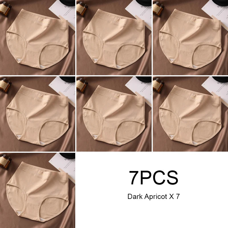 Preference Culotte Taille Haute Coton Beige Marron 7 Pièces