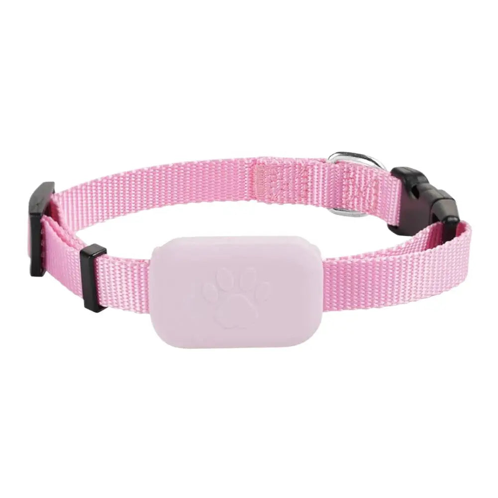 Traceur GPS pour animaux sur collier réglable en nylon rose; module GPS rose avec empreinte de patte.