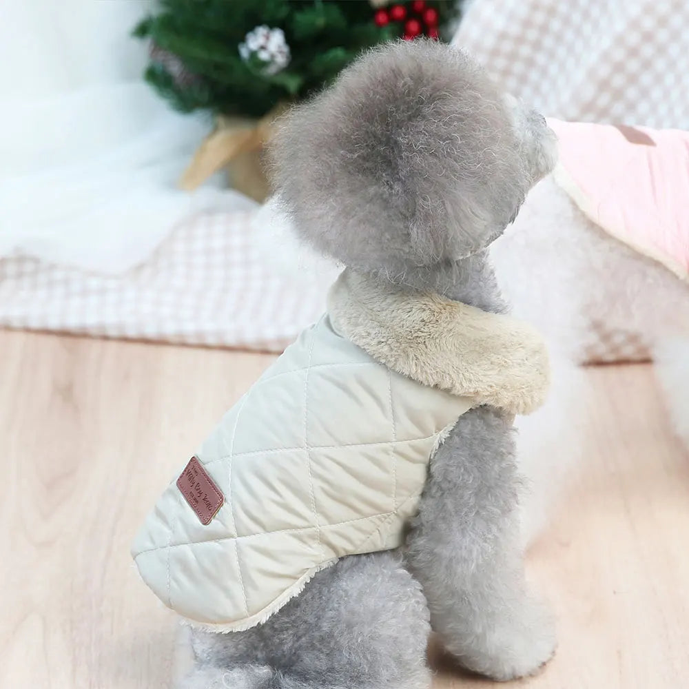 Witty Boy Jeans Veste Pour Petit Chien Beige Col Fourrure