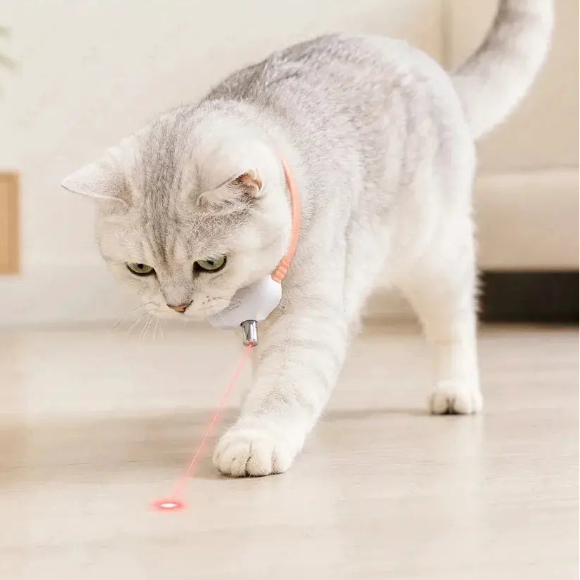 Collier laser rechargeable pour chat LSDLBoutique, collier rose avec module blanc et laser rouge sur le sol.