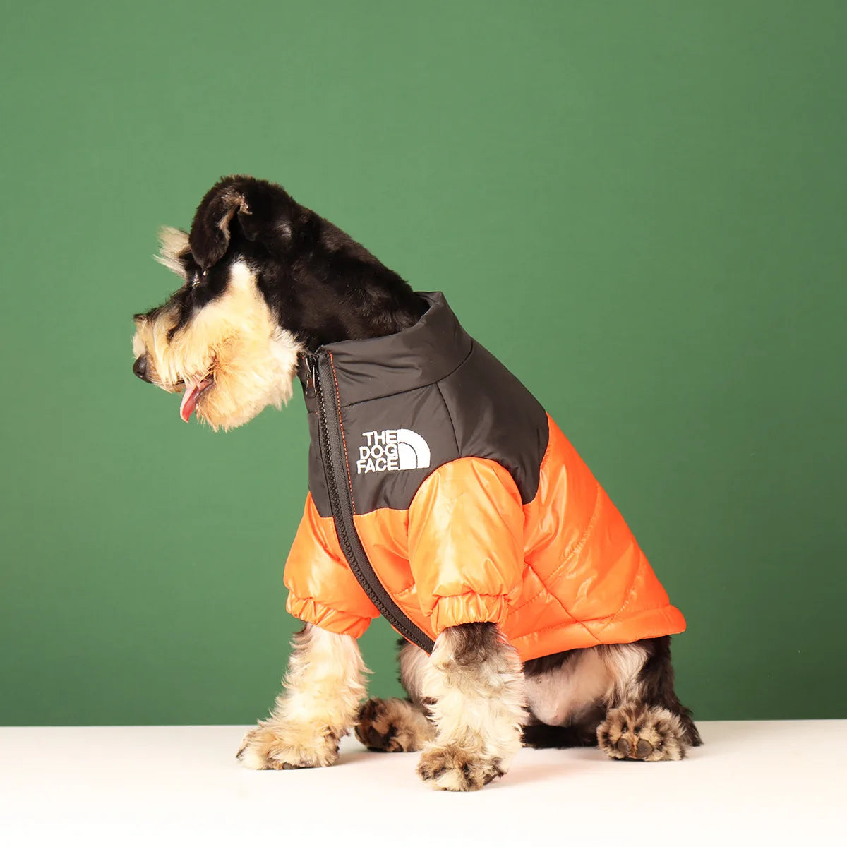 The Dog Face Veste Pour Chien Coupe Vent Polyester Vert