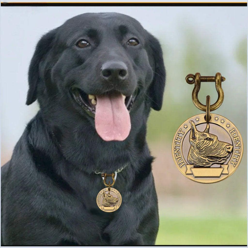 Médaille Gravée Personnalisée Pour Chien Et Chat Plaque Identité Bronze En Acier Inoxydable VIP Élégante Et Durable by LSDLBoutique