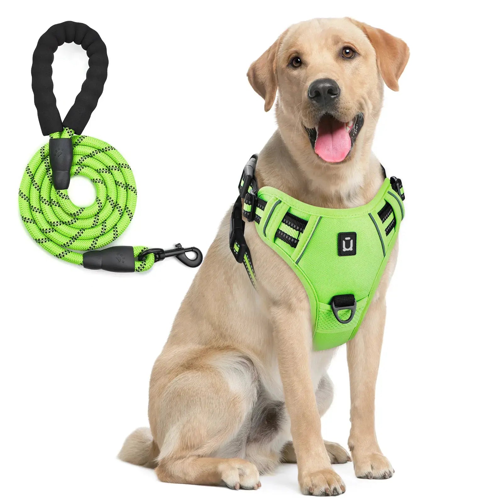 Ensemble harnais gilet anti-fuite et laisse vert néon pour chien, réglable, réfléchissant