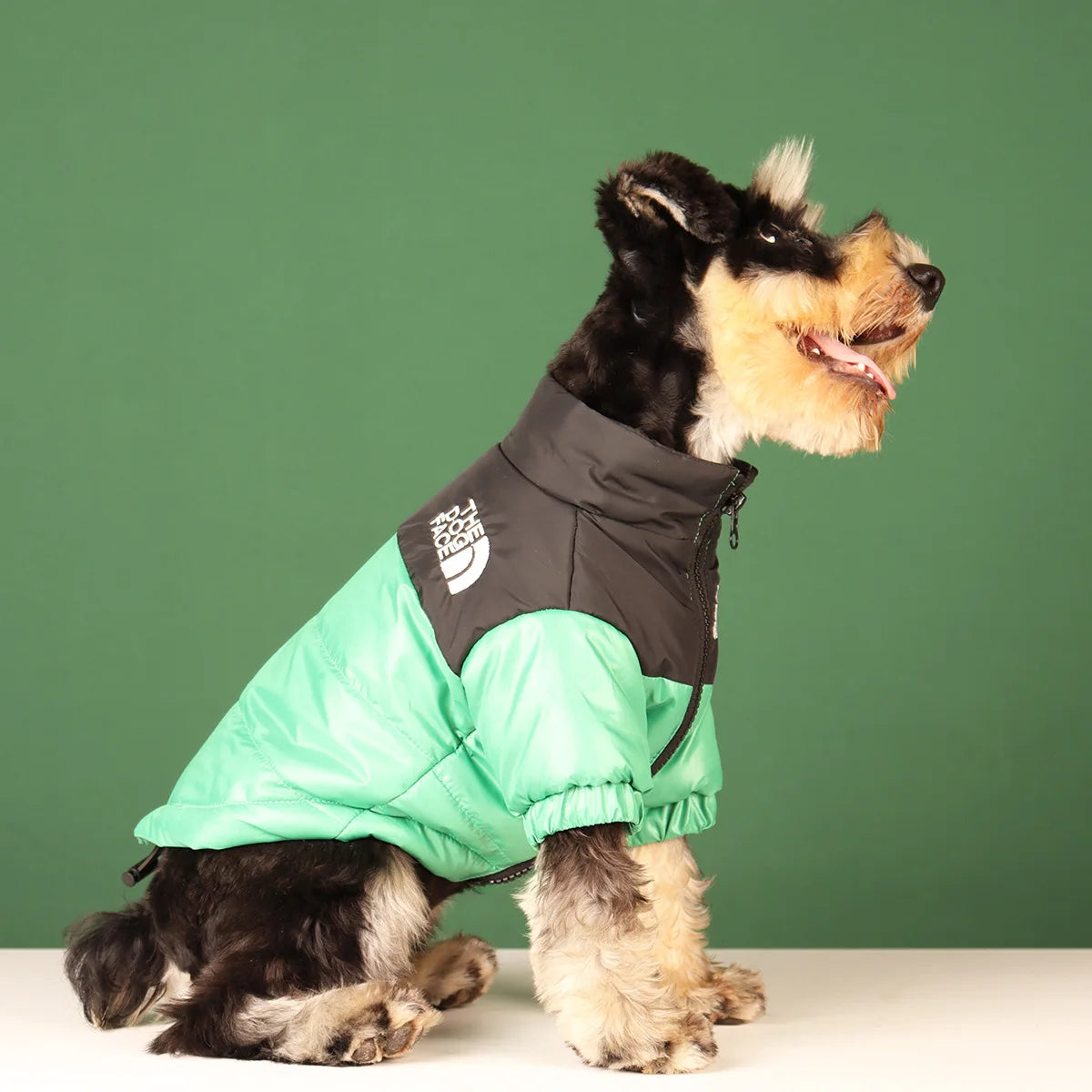 The Dog Face Veste Pour Chien Coupe Vent Polyester Vert
