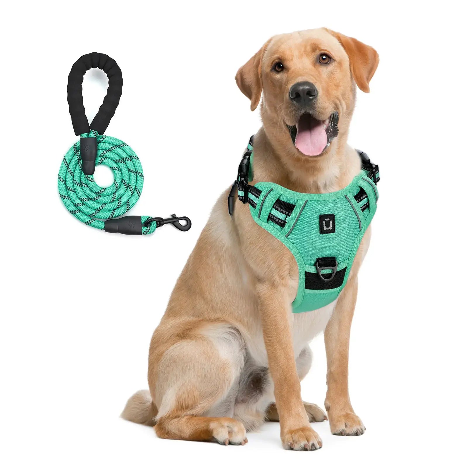 Harnais de gilet anti-fuite pour chien avec laisse – LSDLBoutique, ensemble 2 pièces, vert émeraude réfléchissant