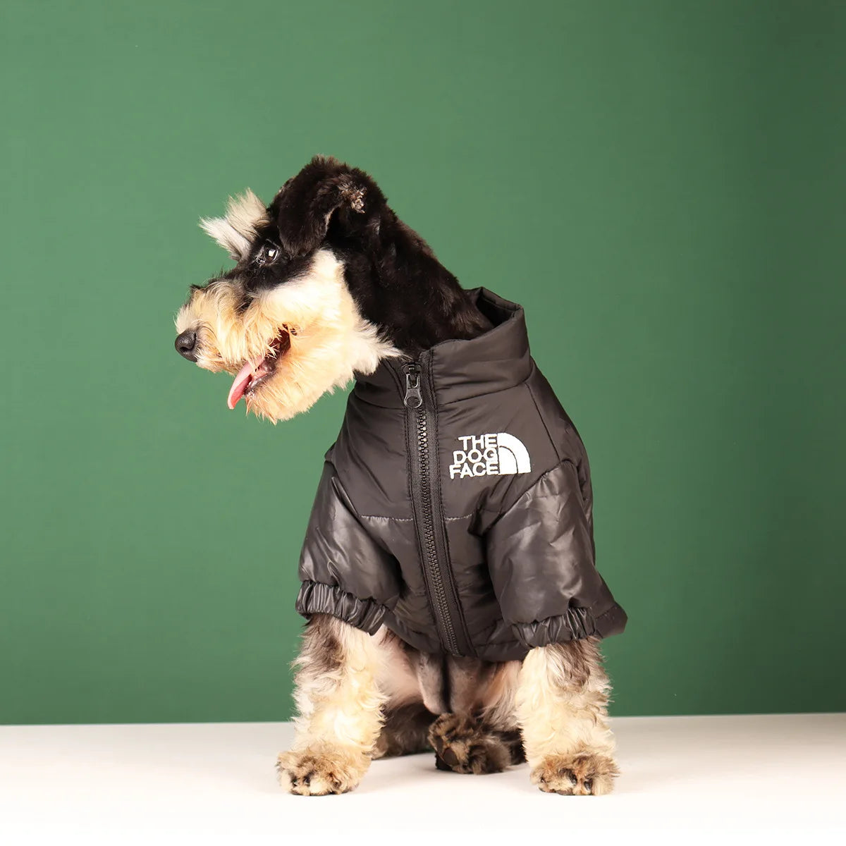 The Dog Face Veste Pour Chien Coupe Vent Polyester Vert