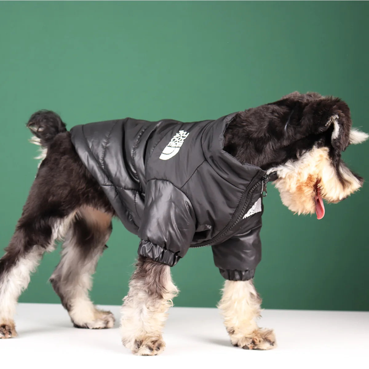 The Dog Face Veste Pour Chien Coupe Vent Polyester Vert