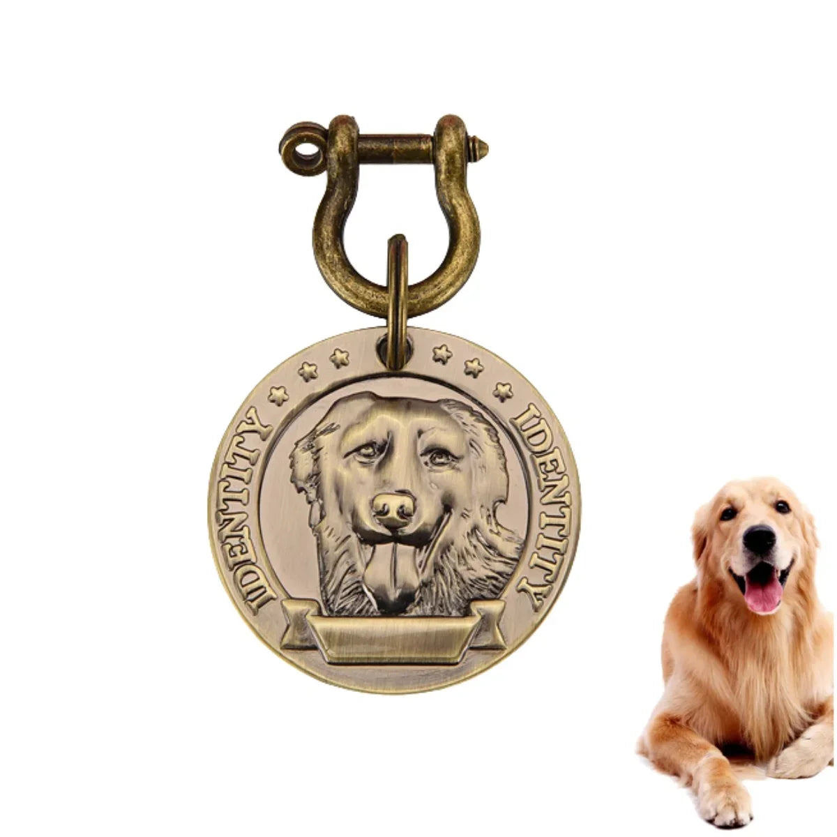Médaille Gravée Personnalisée Pour Chien Et Chat Plaque Identité Bronze En Acier Inoxydable VIP Élégante Et Durable by LSDLBoutique