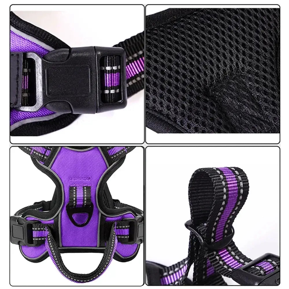 Harnais réglable pour chien en nylon, violet et noir, avec sangles tissées et boucle plastique