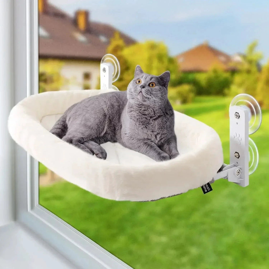 Hamac d Hiver Pour Chat Ventouse Fenêtre Suspendue