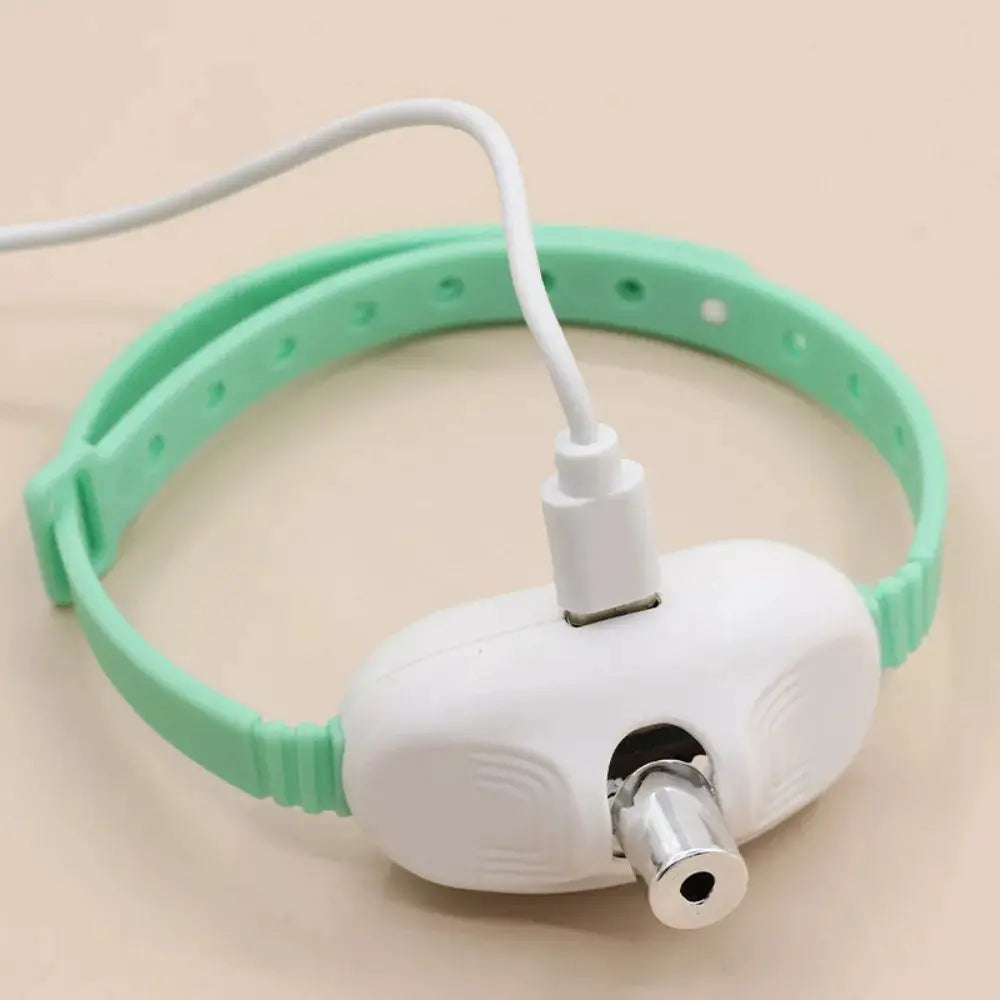 Collier laser rechargeable pour chat en plastique vert clair avec petit boîtier blanc et pointeur laser argenté