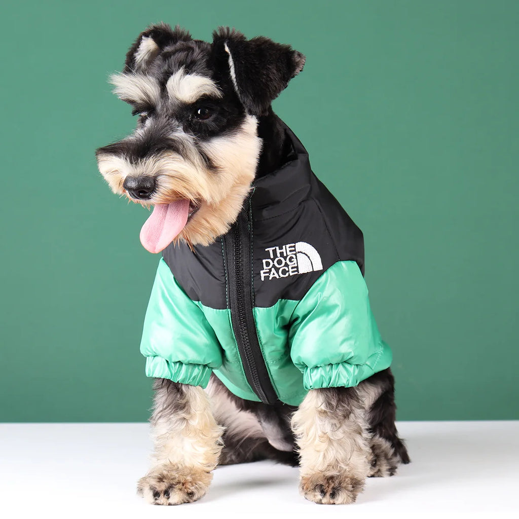 The Dog Face Veste Pour Chien Coupe Vent Polyester Vert