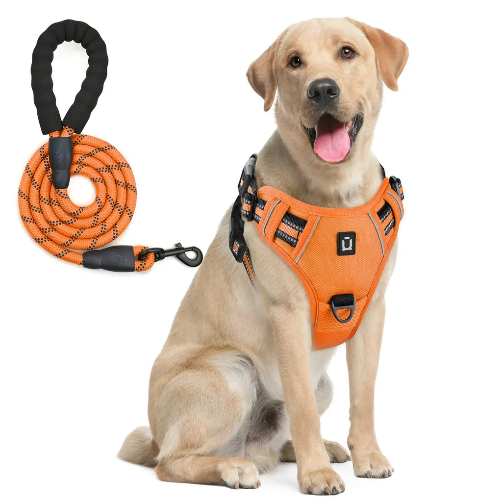 Harnais de chien orange réfléchissant avec laisse LSDLBoutique, gilet réglable en nylon