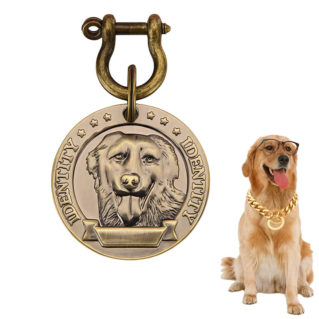 Médaille Gravée Personnalisée Pour Chien Et Chat Plaque Identité Bronze En Acier Inoxydable VIP Élégante Et Durable by LSDLBoutique