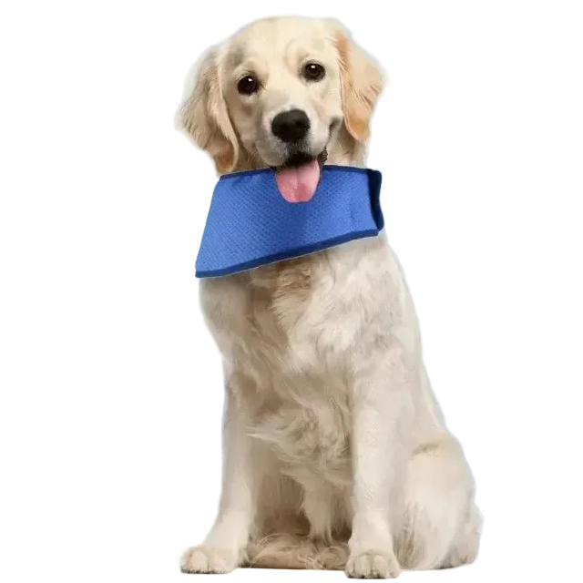 Bandana de Refroidissement pour Chien