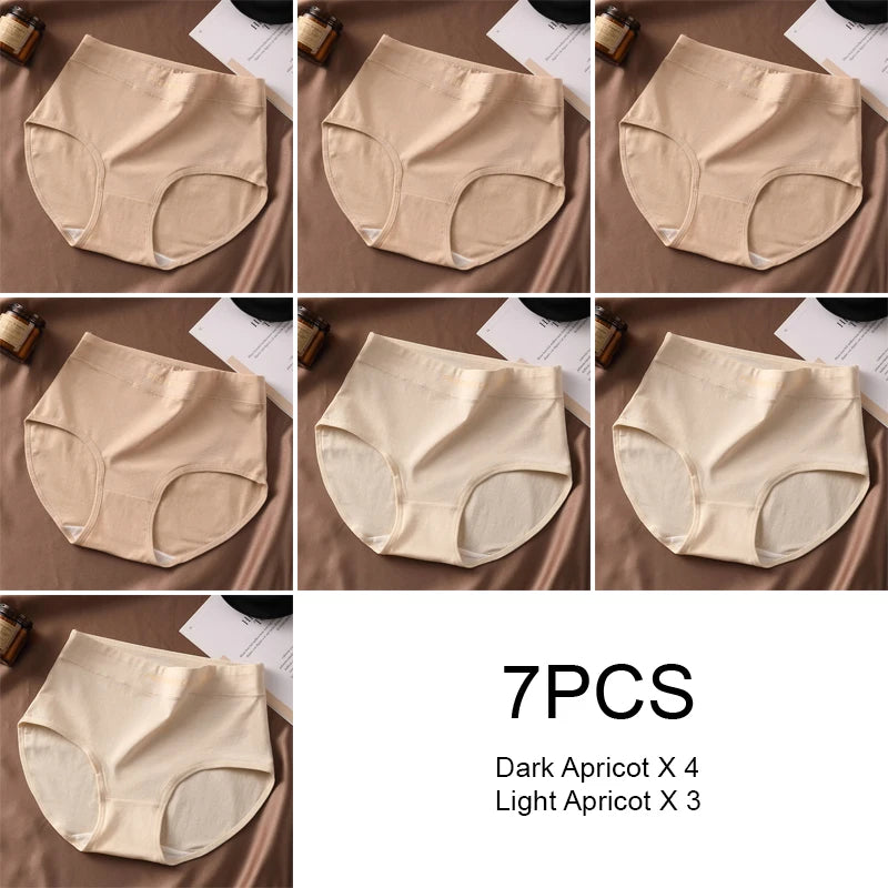 Preference Culotte Taille Haute Coton Beige Marron 7 Pièces