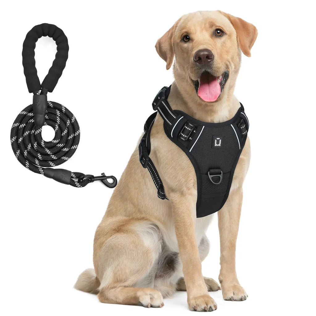 Harnais de chien et laisse noir, gilet réglable et bandes réfléchissantes – LSDLBoutique