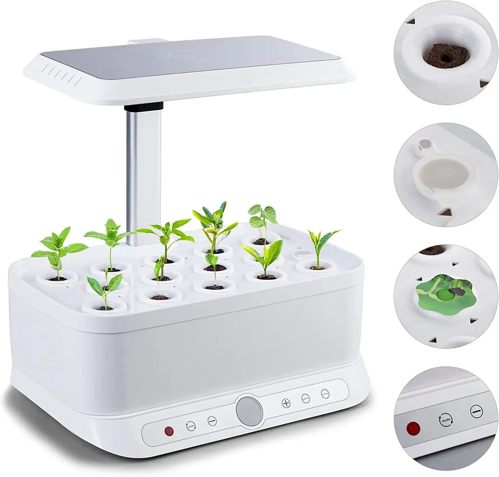 Jardinière Hydroponique Intérieur Mini Système Intelligent